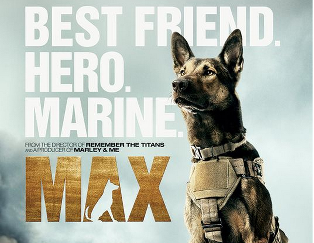 Max the Movie poster
