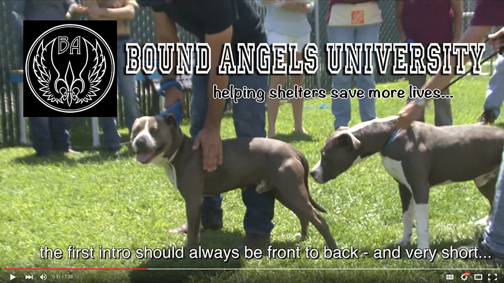 Bound Angels University Intro Video