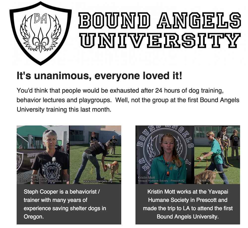 Bound Angels University is loved by all